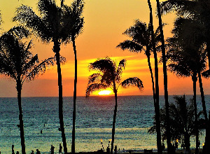 Return flights from Oslo to Honolulu - United States for perfect price from 516 EUR